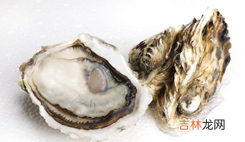 牡蛎精杞片女人能吃吗,牡蛎精杞片的副作用