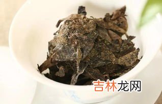 金花茶叶尖干枯怎么办,茶花叶子干枯了怎么办？