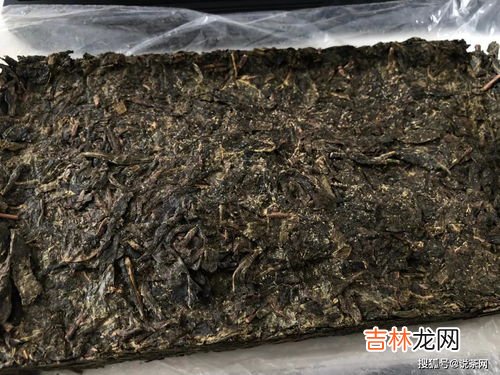 金花茶叶尖干枯怎么办,茶花叶子干枯了怎么办？