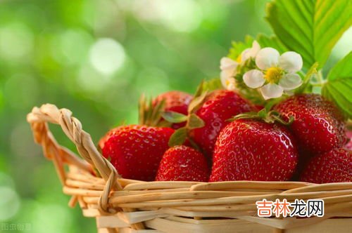 草莓是蚯蚓形成的,草莓是蚯蚓变得么