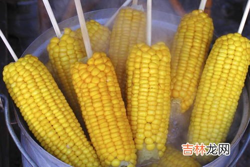 紫玉米煮了为什么会褪色,煮玉米掉色,黑色和紫色玉米是人工染色的吗