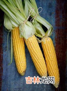 紫玉米煮了为什么会褪色,煮玉米掉色,黑色和紫色玉米是人工染色的吗
