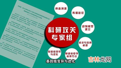 印度新冠仿制药是不是真的有效,如何鉴别新冠仿制绿盒真假