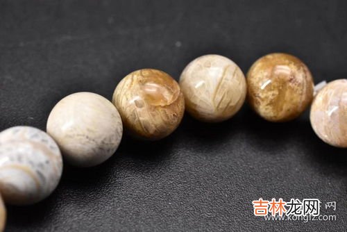 形成化石的概率高还是低,动物死后形成化石的概率有多大，为何化石的数量这么少？