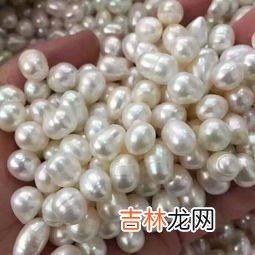 珍珠粉胶囊作用与功效,珍珠粉的功效与作用
