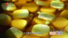 黄栀子的功效和作用不知道,黄栀子的功效与作用