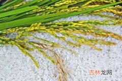 面粉出虫子了还能吃吗,面粉里面生虫子了还能吃吗