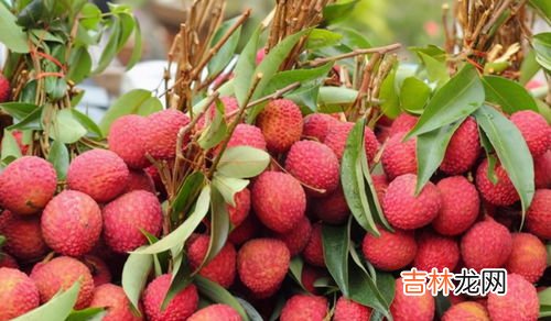 荔枝的谐音吉祥语,荔枝和蝉和起来表示什么意思？