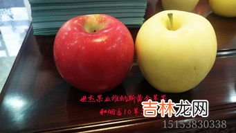 黄金维纳斯苹果介绍,目前最火的苹果新品种