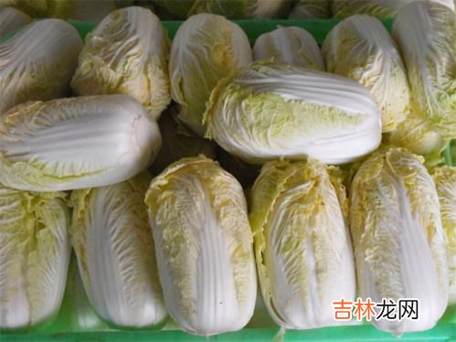 黄心菜的营养价值,菌类蔬菜与绿叶蔬菜有什么区别