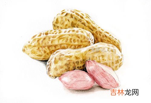 花生,花生的介绍