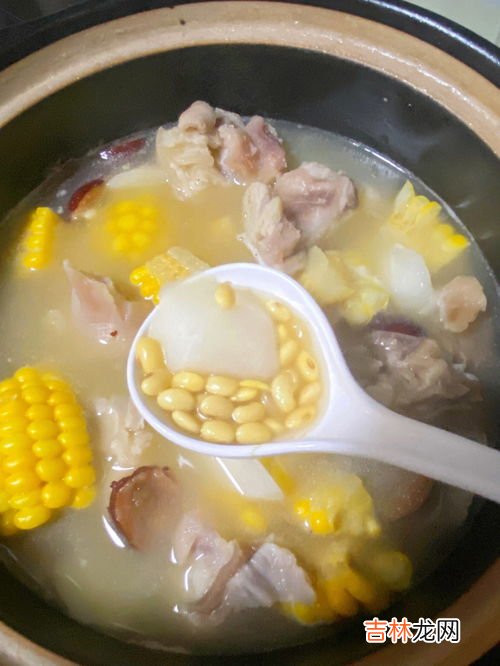 黄豆和什么煲汤,黄豆能和哪些东西煲汤