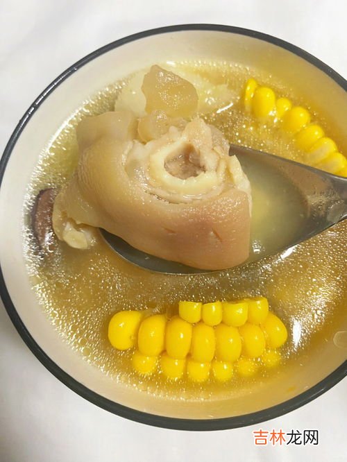 黄豆和什么煲汤,黄豆能和哪些东西煲汤