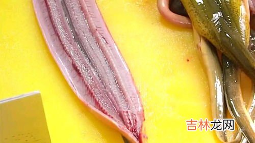 黄鳝的做法,黄鳝的做法，黄鳝怎么做好吃