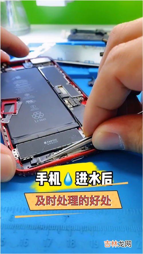 手机掉水里怎么办,手机掉水里怎么办