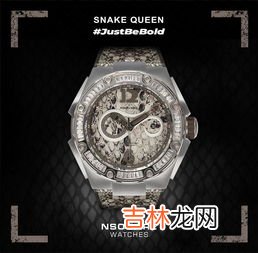 手表有N字是什么牌子的,手表NⅠPINE是什么牌