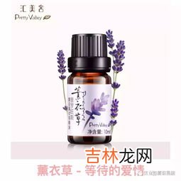 薰衣草精油的作用,薰衣草精油有什么作用的吗?