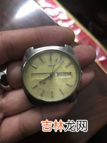 手表怎么识别品牌,手表如何看型号品牌