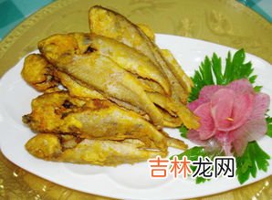 花鲢鱼的功效与作用,花鲢鱼和鲤鱼的营养价值