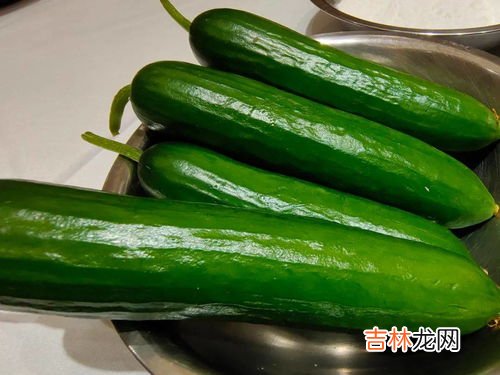 黄瓜的功效和宜忌,黄瓜的营养价值和功效和禁忌
