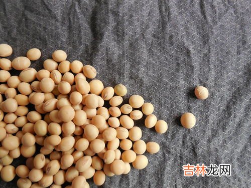 什么人适合吃大豆卵鳞脂,优思益大豆卵磷脂适合哪个年龄段的人食用，主要功效是什么？