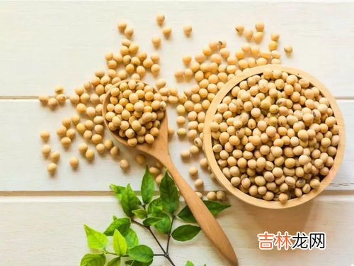 什么人适合吃大豆卵鳞脂,优思益大豆卵磷脂适合哪个年龄段的人食用，主要功效是什么？