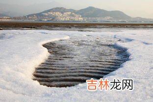 三九天从什么时候开始至结束,2022三九天从什么时候开始至结束 2022年三九天从何时开始到结束