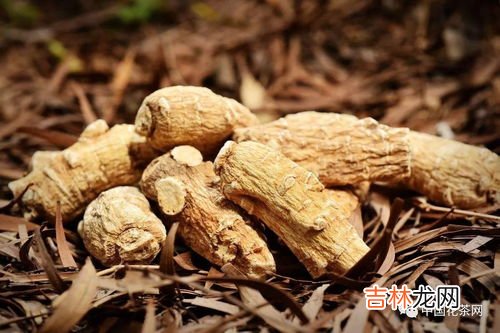 西洋参和枸杞泡水喝的功效,西洋参枸杞泡水喝的功效 西洋参枸杞茶的6大功效