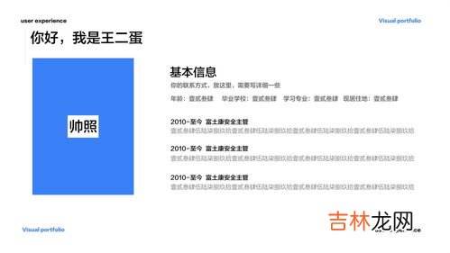 项目描述怎么写,实训项目描述怎么写