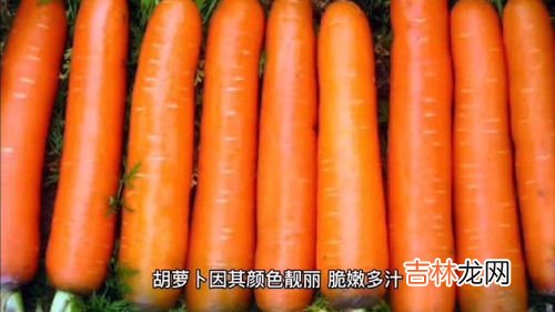 胡萝卜的营养,胡萝卜的营养价值