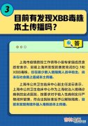 XBB毒株致病性到底如何,关于xbb变异毒株的六问六答