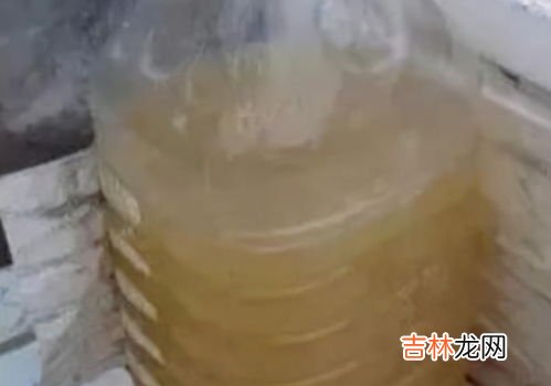 黄豆怎么做花肥肥料,怎么用黄豆做花肥?