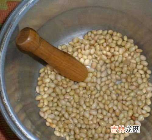 黄豆怎么做花肥肥料,怎么用黄豆做花肥?