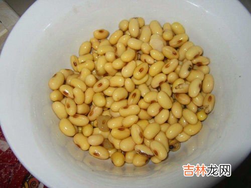 黄豆怎么做花肥肥料,怎么用黄豆做花肥?