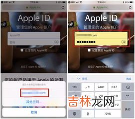 苹果id密码忘了怎么办,苹果手机id密码忘记了怎么办