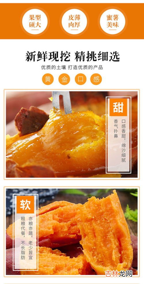 红薯和蜜薯哪个热量高,一个红薯的热量相当于多少米饭 红薯当饭吃是增肥还是减肥