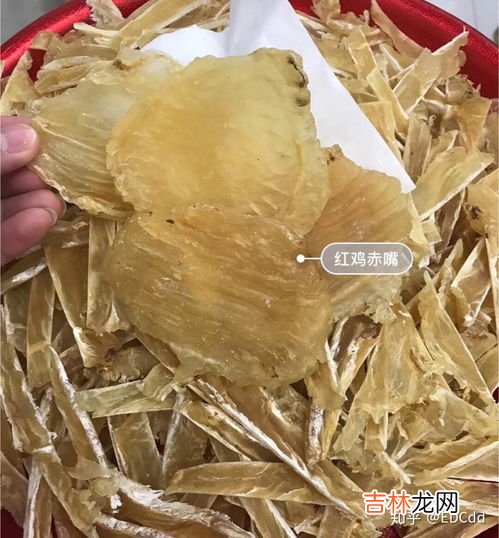 花胶怎么吃最有效果,花胶怎么吃效果最好
