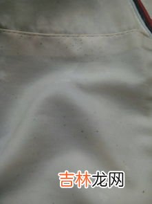 棉质衣服发霉了怎么洗干净,棉衣发霉怎么洗掉霉斑
