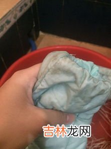 皮夹克发霉如何处理 皮夹克发霉了怎么清洗,皮夹克发霉了怎么清洗