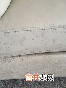 皮夹克发霉如何处理 皮夹克发霉了怎么清洗,皮夹克发霉了怎么清洗