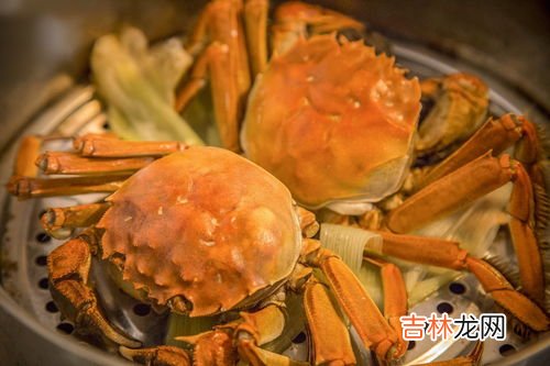 海蟹死了能不能吃了,死了的螃蟹可以吃吗?