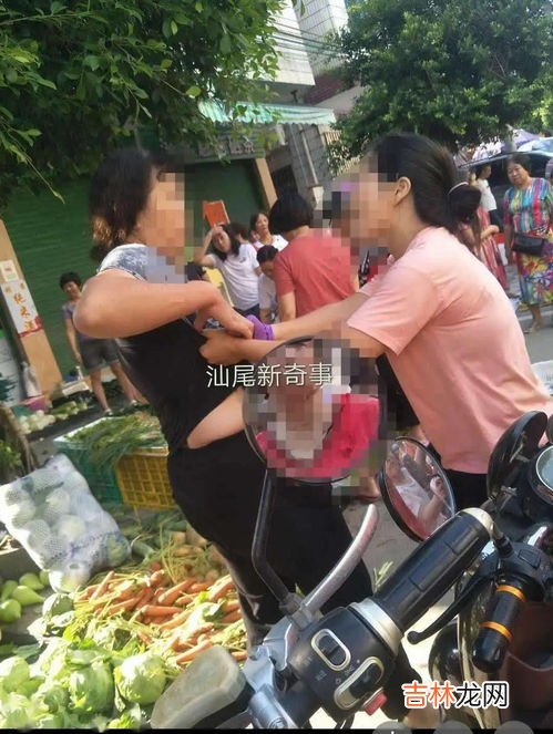 大妈组团偷菜被抓现行反殴打菜主,大妈组团偷菜，被发现后反殴打菜主！