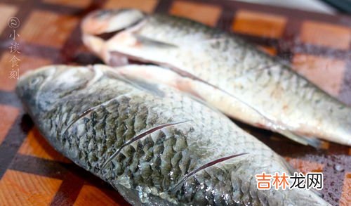 黄豆渣怎么做肥,黄豆渣怎么发酵成花肥？