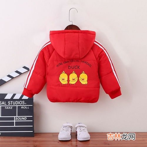 女孩是小棉袄,男孩是什么,女孩是小棉袄,男孩是什么