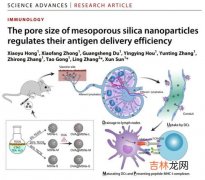 布洛宁酸可以提高免疫力吗,布勉芯酸什么意思