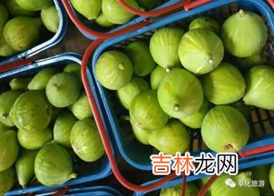 无花果和虾可以一起吃吗,吃完虾可以吃水果吗