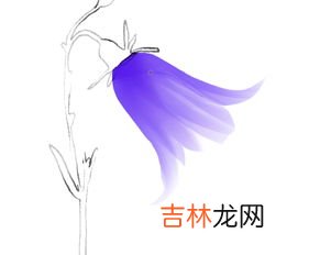 花瓣的瓣的结构是什么,瓣的部首是什么?