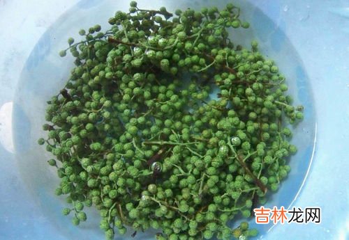 花椒怎么做才麻,花椒怎么炒才有麻