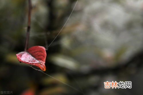 红颜知己是指哪种关系,红颜知己是什么?