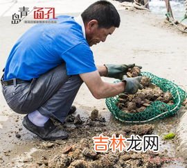 如何清洗沙子,怎么清洗“沙子”?
